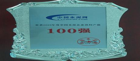 2009年度中國水泥企業百強