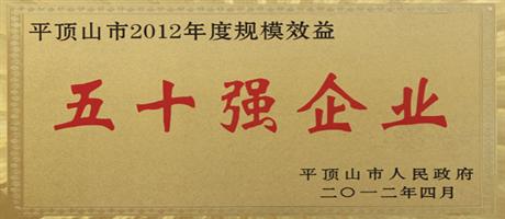 平頂山市2012年度規模效益50強企業