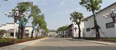 賈湖酒業集團廠區主干道