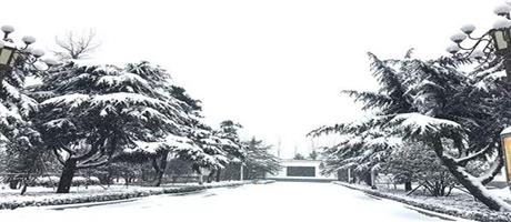 賈湖酒業雪景如畫（九）